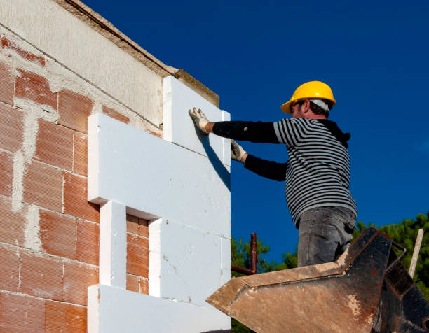 Best Insulation Materials and Products in Pecan Acres, TX