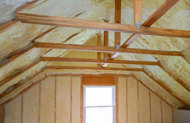 Best Insulation Installation Services in Pecan Acres, TX