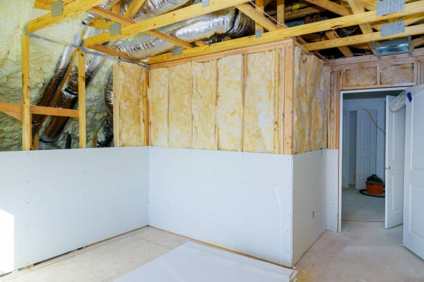 Best Commercial Insulation in Pecan Acres, TX